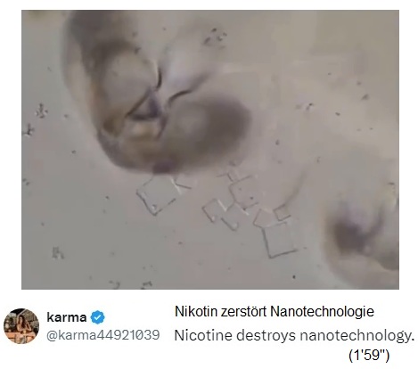 Nikotin zerst�rt Nanotech im Blut 03