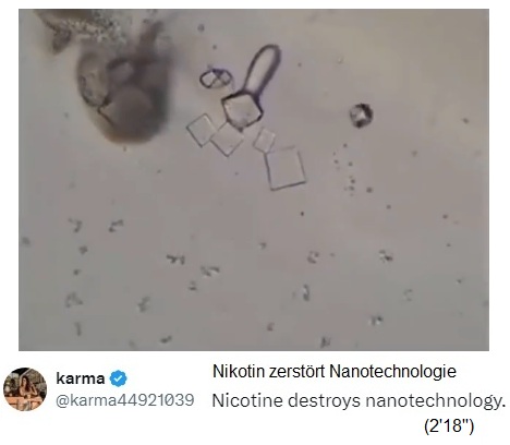 Nikotin zerst�rt Nanotech im Blut 04