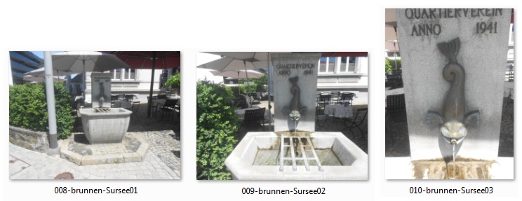 Beber 2 litros de agua al d�a
                aporta m�s ox�geno a la sangre y te mantiene joven: una
                fuente en Sursee (Suiza) con un pez