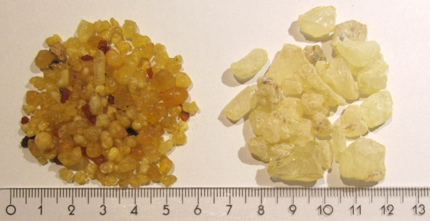 Encens brun jaune
                (premi�re r�colte) et blanch�tre (derni�re r�colte)