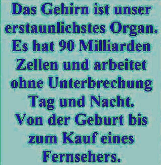 Der Fernseher (TV) stellt das Hirn ab