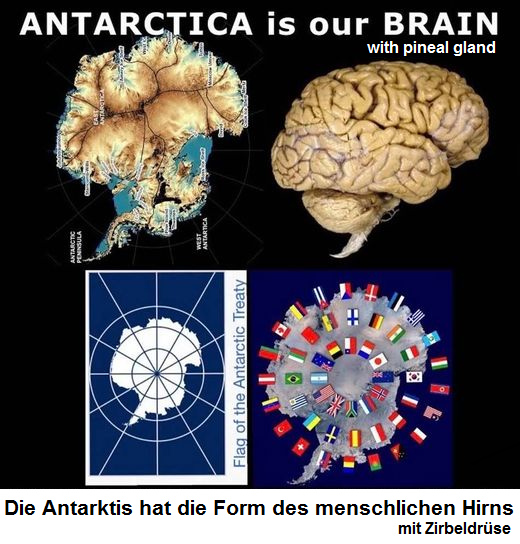 Die Antarktis hat die Form eines
                            Menschlichen Gehirns mit der Zirbeldr�se