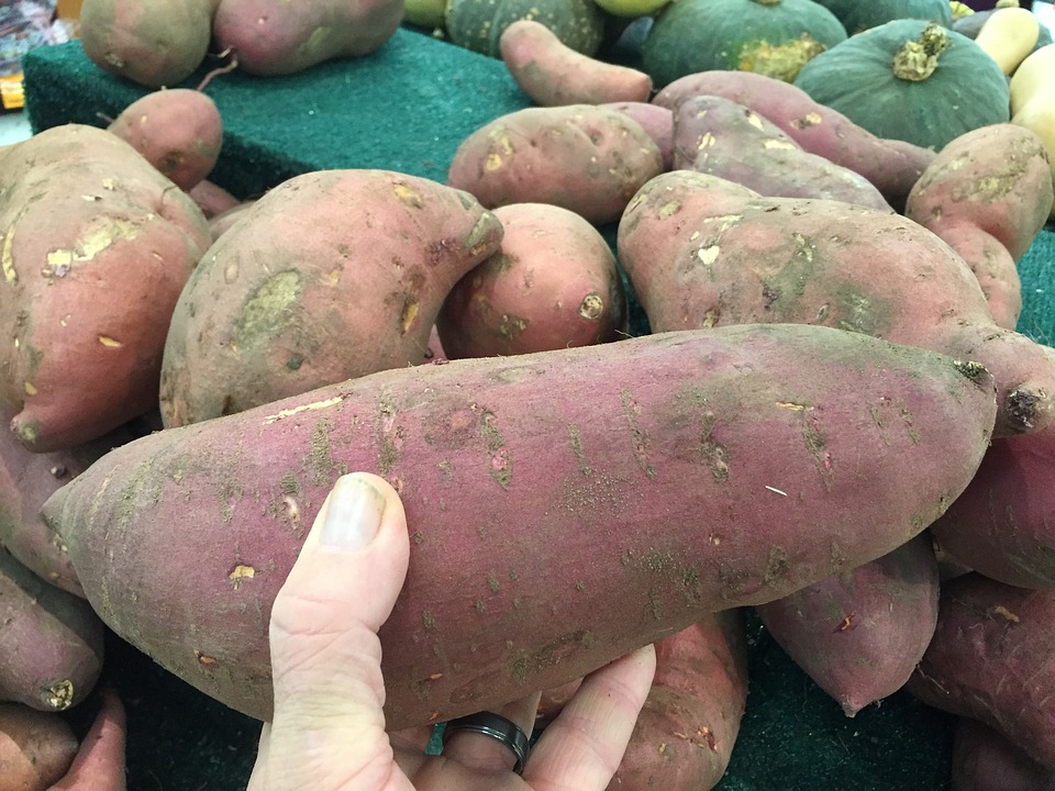 Sweet potato has an
                                alkaline basic effect