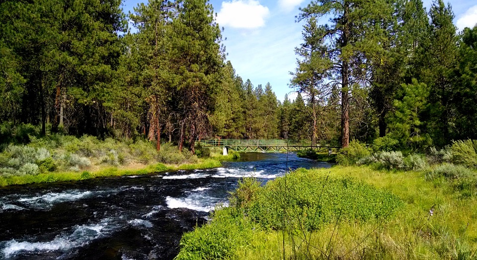 Oregon: Collier-Park und
                                      Gr�nfluss (Green River)