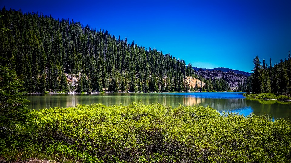 Oregon,
                              Todd Lake