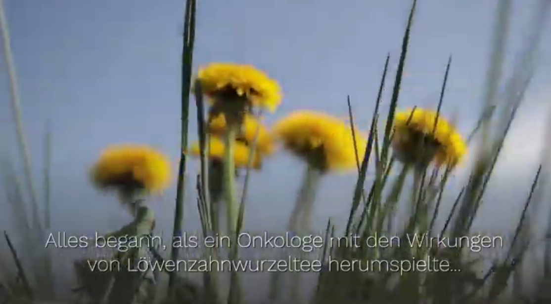 Video 17.11.2022: Krebs
                        heilt mit L�wenzahnwurzeltee - am Morgen
                        n�chtern einnehmen: L�wenzahn Saft-Rezept
                        zerst�rt Krebs in 48 Stunden