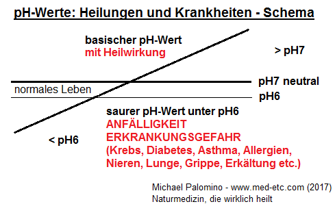 Schema des pH-Werts:
                          saurer, tiefer pH-Wert macht krebsanf�llig,
                          pH7 ist neutral, ein basischer pH-Wert heilt
                          Krebs weg, 3 Tage lang pH8 halten