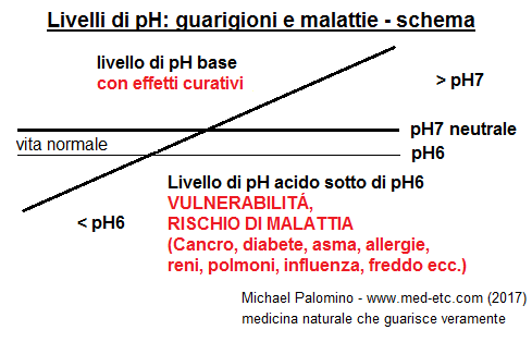 Schema di pH: acido, un pH
                                basso rende suscettibile alla malattia,
                                pH7 � neutro, un pH basico cura, contra
                                cancro si deve mantenere 3 giorni un
                                valore di pH8