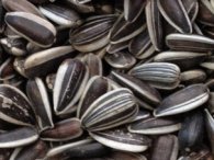 Sonnenblumenkerne mit
                                      Schale