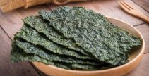 Nori-Algenchips
