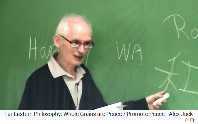 Alex Jack
                                        (Kushi-Institut, Massachusetts)
                                        beim Vortrag