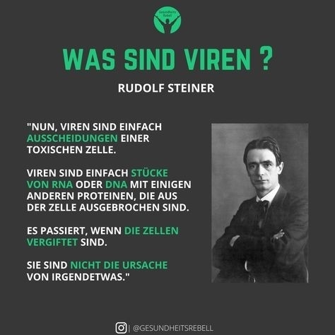 Rudolf
                        Steiner: Ein Virus ist ein Teil einer RNA oder
                        DNA + Proteine