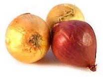 Cebollas