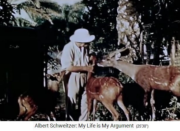 Lambarene, Albert Schweitzer mit Wildtieren