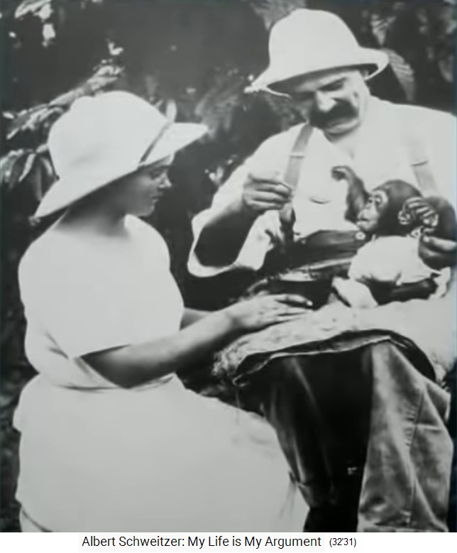 Lambarene: Albert
                    Schweitzer mit einem jungen Schimpansen 1963ca.