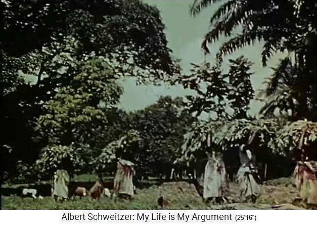 Spitaldorf Lambarene, Ernte
                    f�r die Selbstversorgung