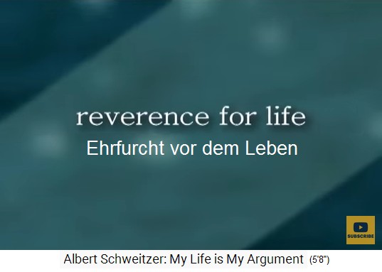 Philosophie-Grundsatz von Albert Schweitzer:
                    "Die Ehrfurcht vor dem Leben"