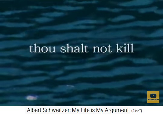 Ein Gebot "Du sollst nicht t�ten"
