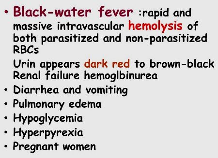 Schwarzwasserfieber, die Liste der
                Symptome (englisch)