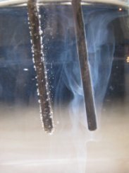 Der Ionisierer mit Silberstab:
              Silberionen l�sen sich vom Silberstab