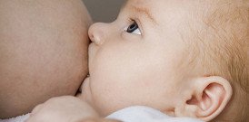 Die
                Muttermilch beim Stillen [6] enth�lt einige Monate lang
                Antik�rper, bis das Baby sein Immunsystem aufgebaut hat,
                vorausgesetzt, die Mutter hat die normalen
                Kinderkrankheiten "durchgemacht" und besitzt
                die Antik�rper!