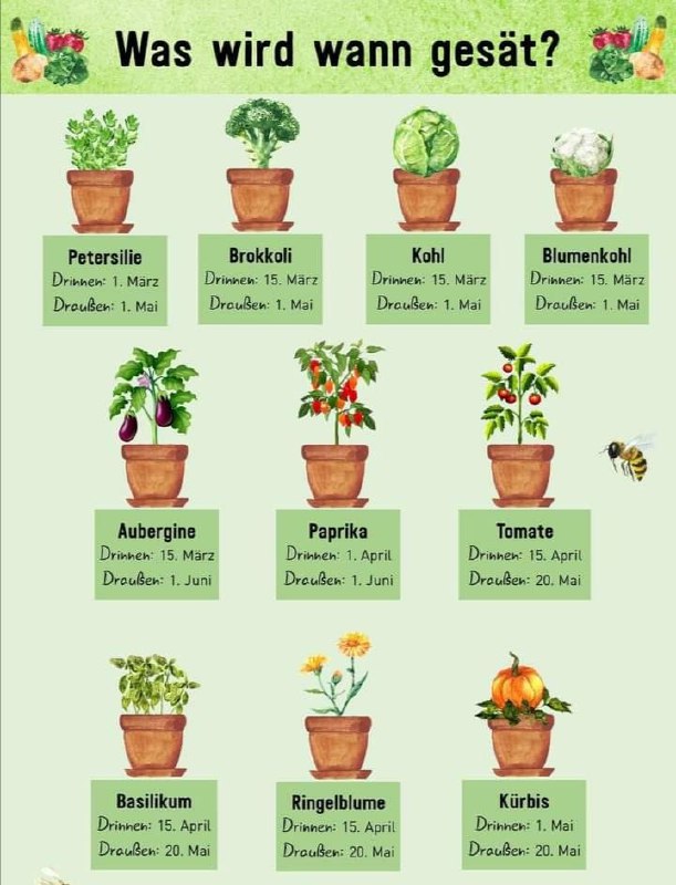 3.11.2023: Der Kalender zum
                    Auss�en von Gem�se in Europa