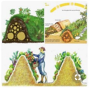 Sepp Holzer tambi�n integr� la cultura
                          colina, el cultivo de la presa en forma de
                          diques [24] [y as� se dobla el superficie]