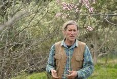 Holmgren im Gr�nen