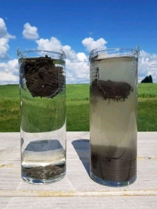 Bodentricks mit Wassertest am 18.11.2024:
                    Beispiel Acker mit Mais-Bohnen-Fruchtfolge: Den
                    Boden nie pfl�gen sondern immer nat�rlich d�ngen, so
                    beh�lt die Erde ihre klebende Struktur