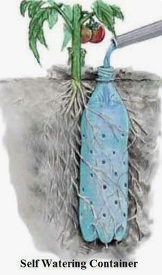 PET-Flasche mit L�chern im Boden neben
                  einem Baum zur Bew�sserung der Wurzeln in
                  Trockengebieten, Schema