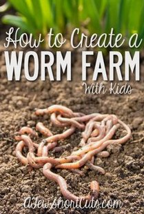 Buch Wie man
                eine Wurmfarm aufbaut (original Englisch: How to create
                a worm farm)