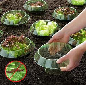 Plastik im
                Garten wirkt sehr unbeholfen: Schneckenkragen gegen
                Schneckenfrass