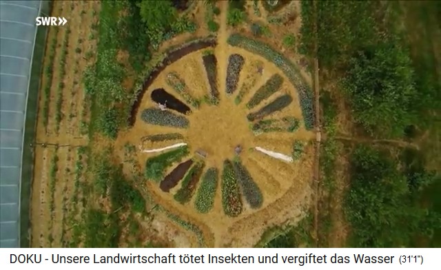 Bancales de colina formando un mandala
                            de rayos en la granja de permacultura en Le
                            Bec Hellouin en Francia
