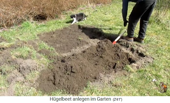 Bau eines
                    H�gelbeets bei Biogartenreich 03: Die Grube wird
                    tief ausgegraben