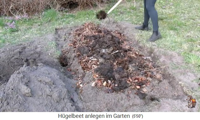 Bau eines
                    H�gelbeets bei Biogartenreich 14: Dann folgt eine
                    Schicht mit Mist