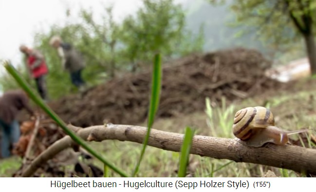 H�gelbeet-Workshop mit Sepp Holzer in � 10:
                    Kinder h�pfen auf dem H�gelbeet rum, um es zu
                    befestigen, damit keine Hohlr�ume bleiben