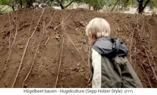 Hill bed
                    workshop with Sepp Holzer in Austria 14a: The hill
                    bed is ensured with a branch net 01: Vertically
                    placed, straight branches