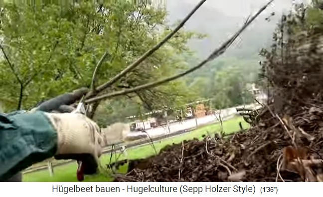 H�gelbeet-Workshop mit Sepp Holzer in � 08:
                    Aus den �sten werden ein paar Holzn�gel geschnitten
                    01