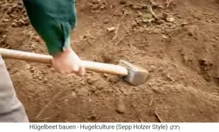 Hill bed workshop with Sepp Holzer in Austria
                    13: The earth layer is pushed with a big hammer
                    filling all the holes between the branches