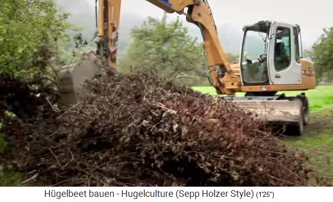 H�gelbeet-Workshop mit Sepp
                    Holzer in � 07: Auf den Humus kommt Holzmaterial mit
                    Laub drauf (dritte Schicht)