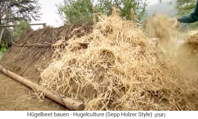 H�gelbeet-Workshop mit Sepp Holzer in
                    �sterreich 19: Zum Schutz und nochmaligen
                    N�hrstoffanreicherung wird Strohmull gelegt