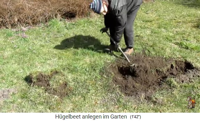 Bau eines
                    H�gelbeets bei Biogartenreich 01: Die Grasnarbe wird
                    entfernt