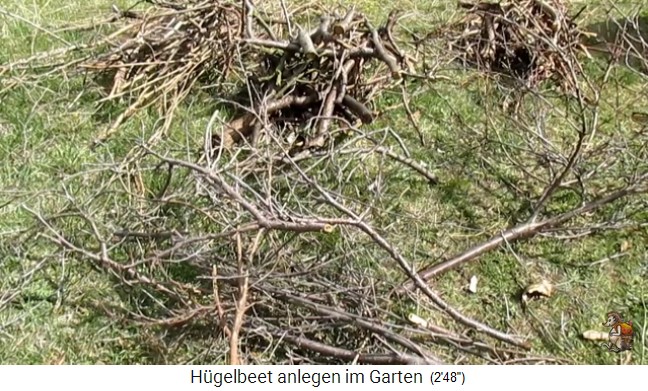 Bau eines H�gelbeets bei
                    Biogartenreich 04: Nun kommt das Totholz aus
                    Astverschnitten aus dem Vorjahr