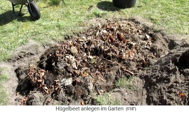 Bau
                    eines H�gelbeets bei Biogartenreich 15: Und dann
                    kommt nochmals eine Laubschicht
