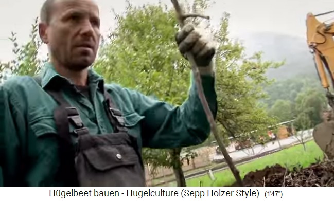 H�gelbeet-Workshop mit Sepp Holzer in � 09:
                    Aus den �sten werden ein paar Holzn�gel geschnitten
                    02