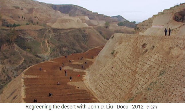 China
                    L�ssplateau-Regeneration, Terrassen mit Querd�mmen
                    1995