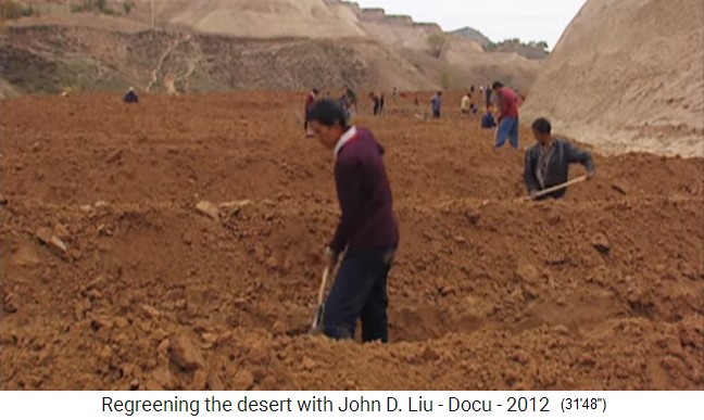 China
                    L�ssplateau-Regeneration, Terrassen mit Querd�mmen
                    1995, Nahaufnahme