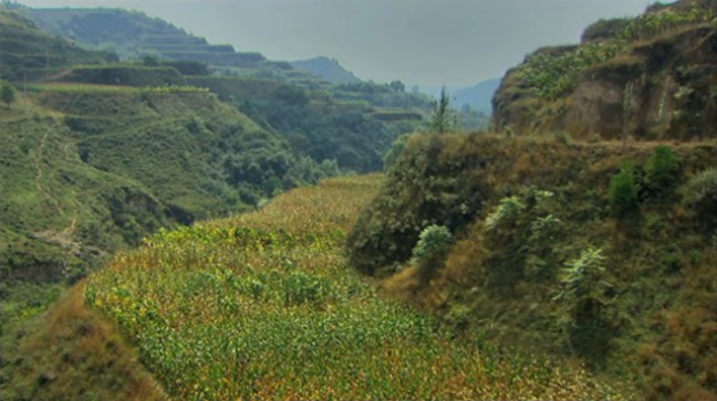 China L�ssplateau,
                    grosse Terrassen mit Querd�mmen regeneriert 2012
