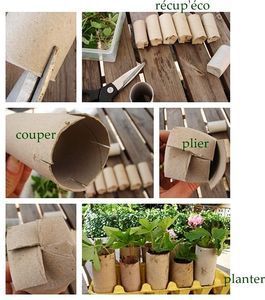 WC-Rollen unten
                          zuammenfalten und in Eierkartons stecken