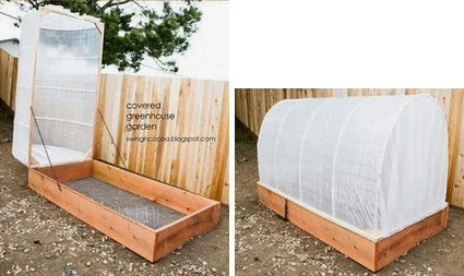 Aufklappbares Keimlingsbeet muss aus
                  weissem Stoff sein